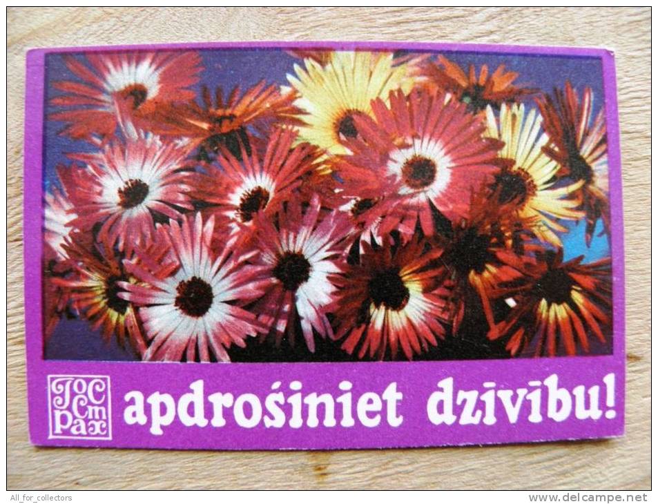 Small Calendar From USSR Latvia 1976, Flora Plants Insurity Flowers - Small : 1971-80