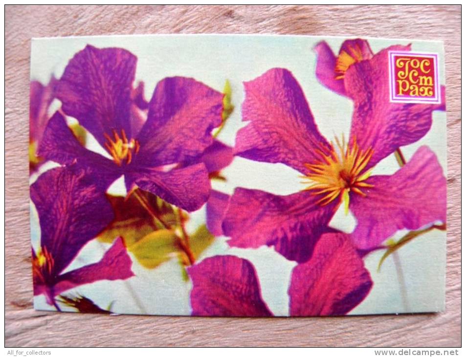 Small Calendar From USSR Latvia 1979, Flora Plants Insurity Flowers - Small : 1971-80
