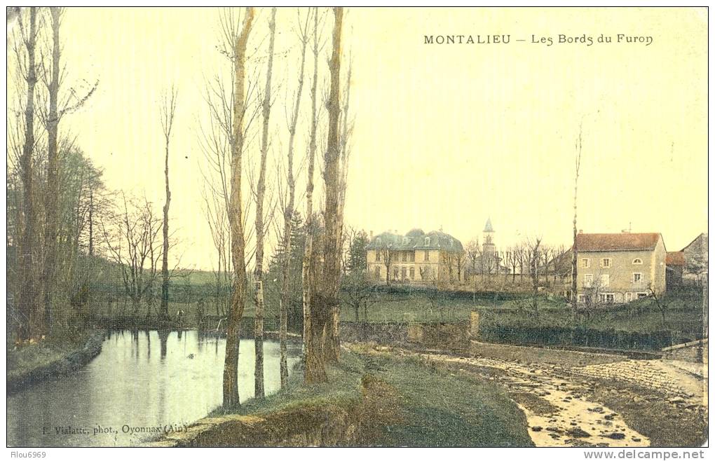 CARTE POSTALE    GRENOBLE  LIGNE DES TRAMWAYS GRENOBLE CHAPAREILLAN  LAC ST ANDRE ET MONT GRANIER   COULEUR RARE - Grenoble