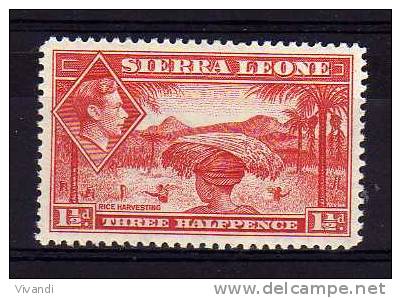 Sierra Leone - 1938 - 1½d Definitive - MH - Sierra Leone (...-1960)