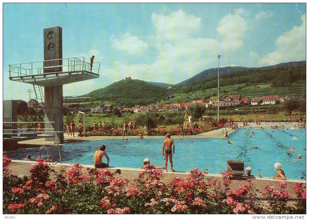 Allemagne NEUSTADT HAMBACH LA PISCINE LE PLONGEOIR - Neustadt (Weinstr.)