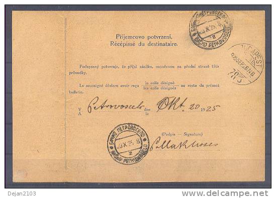 Czechoslovakia Referral Sent From Sternberk Over Budapest To Petrovo Selo 1925 USED - Covers