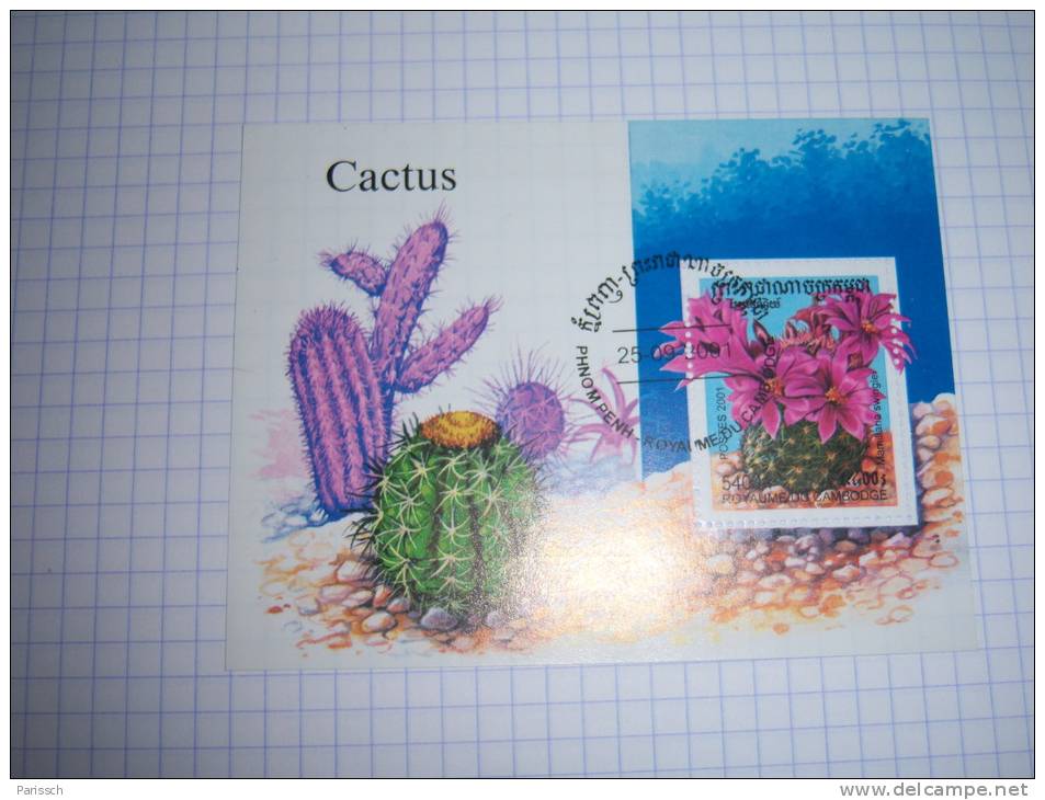 Cactées - 2001 - Cambodge - Cactus