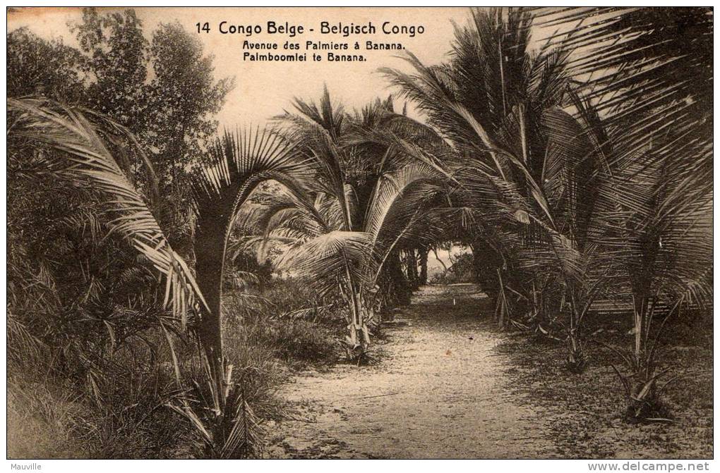 Lot  24 Cartes Postales Congo Belge Série - Belgian Congo