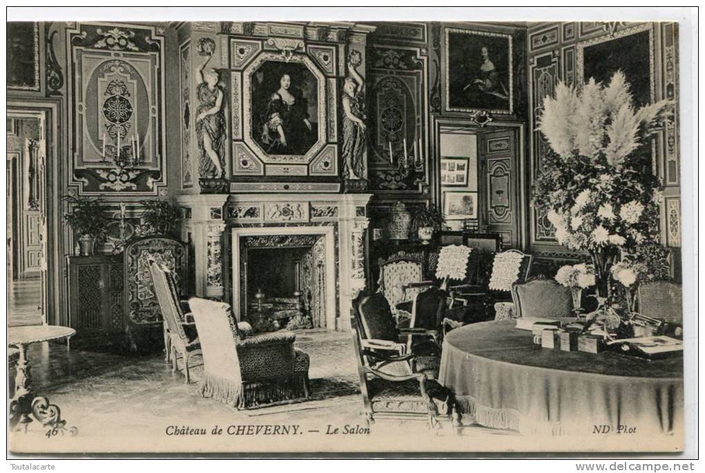 CPA 41 CHATEAU DE  CHEVERNY LE SALON - Cheverny