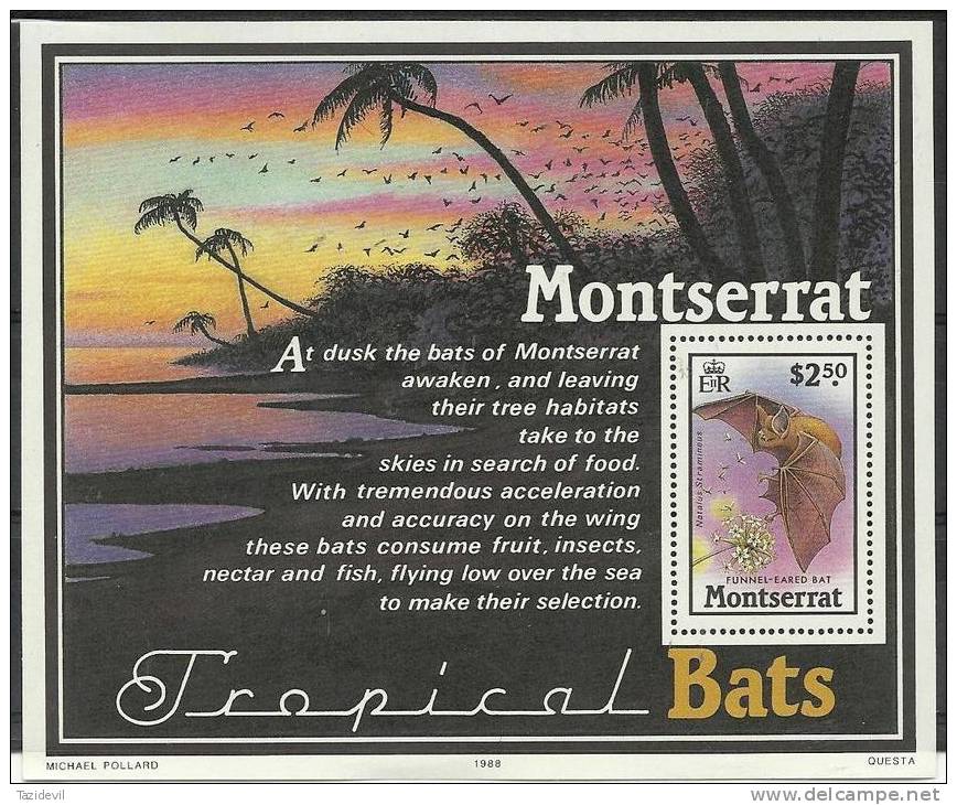 MONTSERRAT - 1988 Tropical Bats Souvenir Sheet. Scott 671. MNH ** - Montserrat