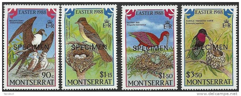 MONTSERRAT - 1988 Easter Birds Overprinted 'SPECIMEN'. Scott 667-70. MNH ** - Montserrat