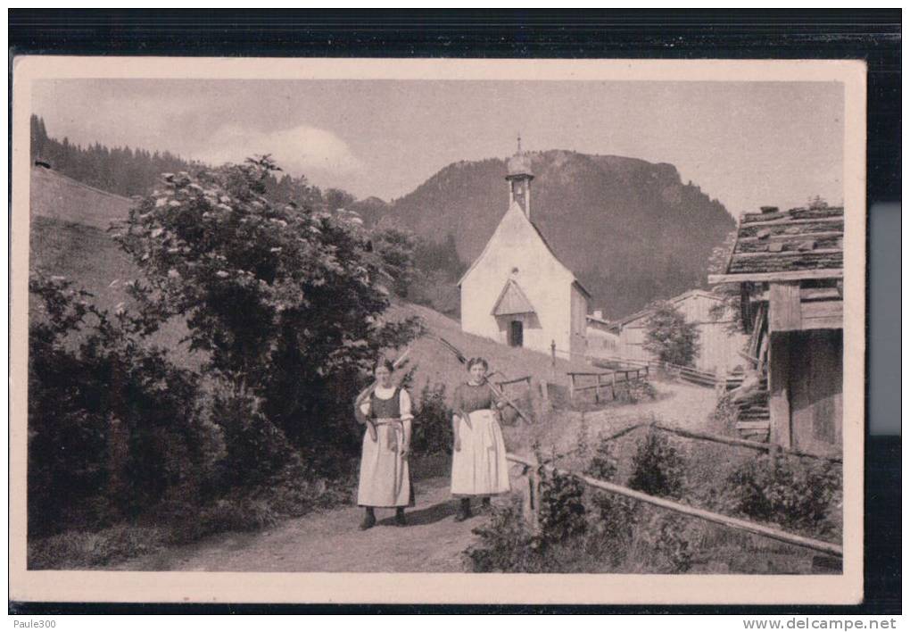 Hindelang - Holunderblüten Im Ostrachtal - Hindelang