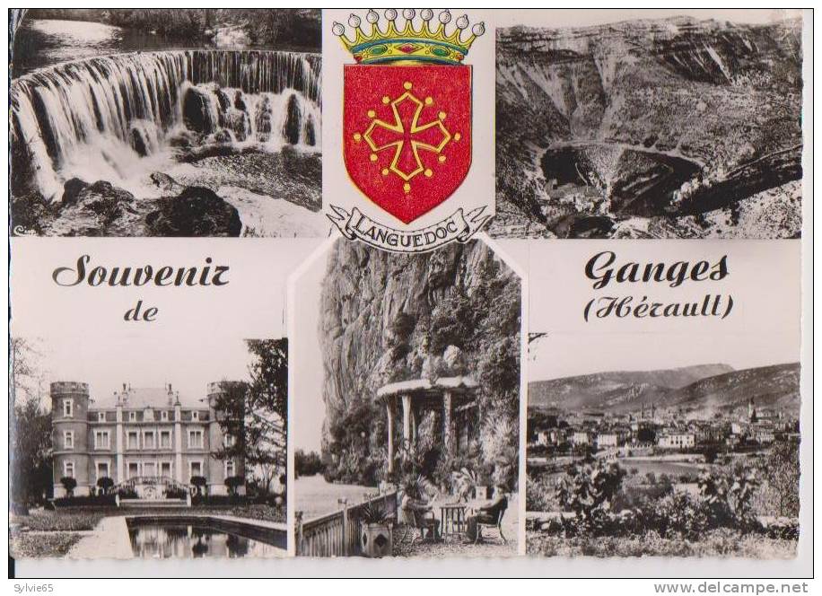 SOUVENIR DE GANGES-Multivues +blason Languedoc - Ganges