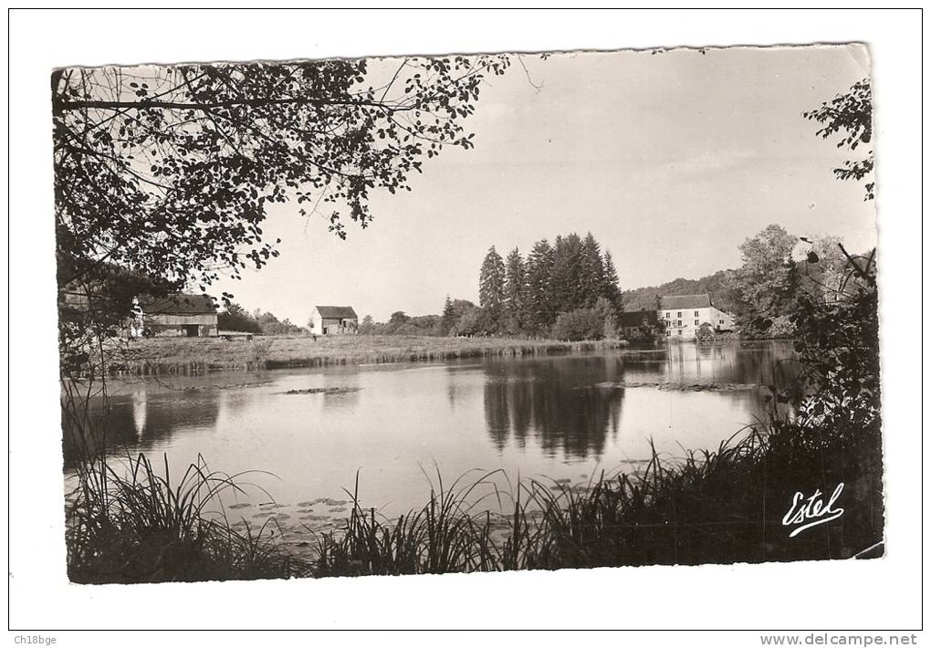 CPA : 61 - Orne : Longny Au Perche : L'Etang Et Le Moulin De La Vigne - Longny Au Perche