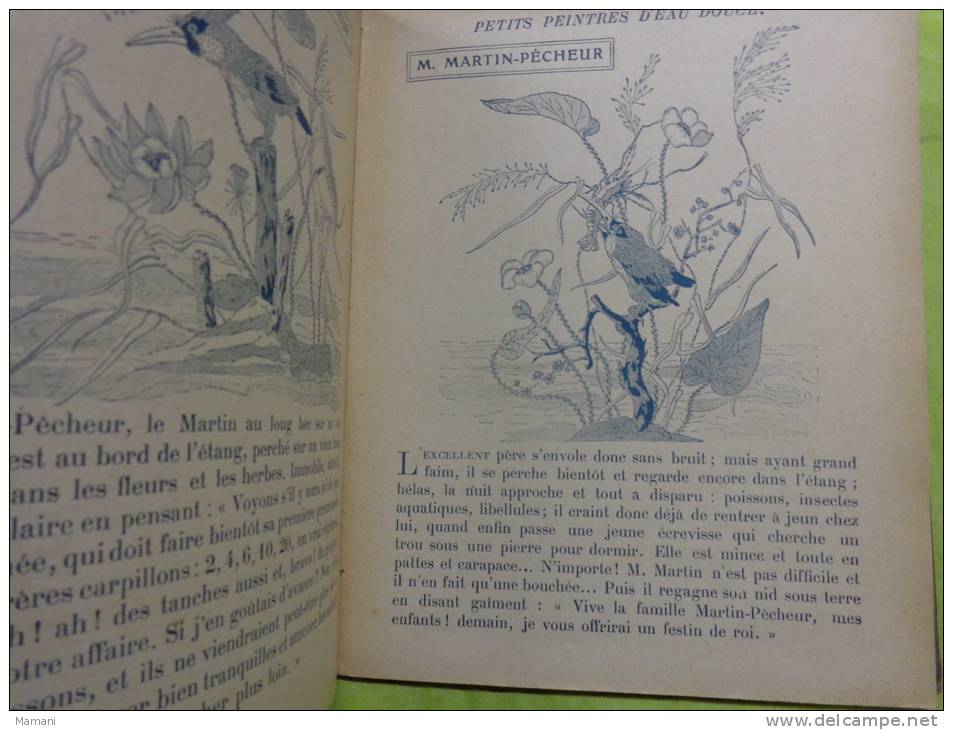 mes premiers coloriages- -hachette-1926-bres--arro s oir-chat-perroquet-poule- coq-poisson-jongleur