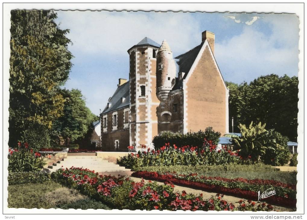 LA RICHE. - Le Château De Plessis Lès Tours-   CPM Dentelée - La Riche