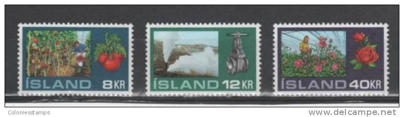 (S0957) ICELAND, 1972 (Hothouse Gardening In Iceland). Complete Set. Mi ## 465-467. MNH** - Unused Stamps