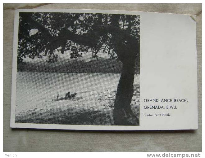 B.W.I.  - Antlilles - Grenada - Grand Ance Beach  Photo Fritz Henle    D93416 - Grenada