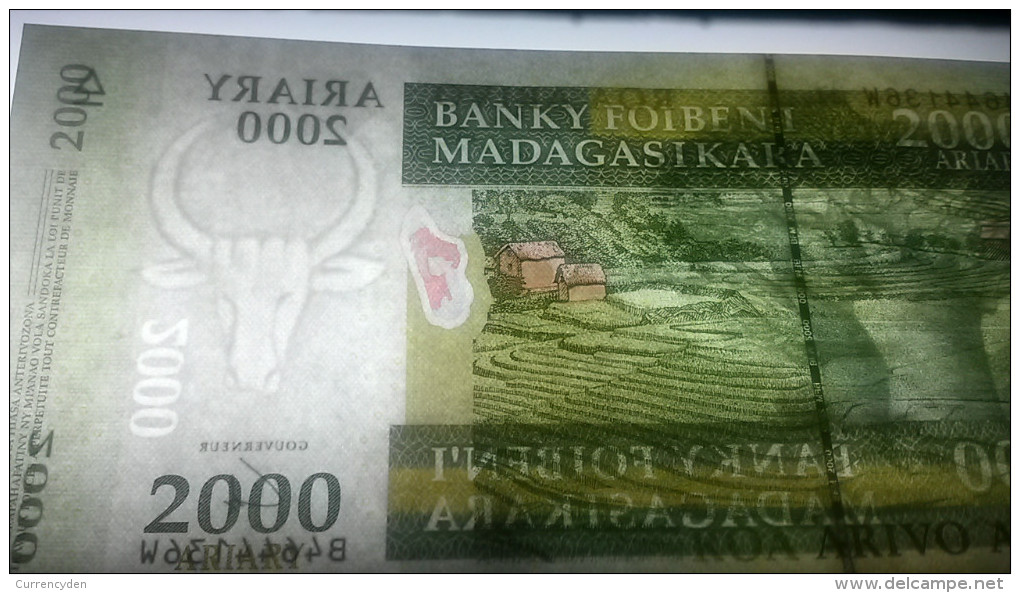 Madagascar P-89, 1000 Ariary,  2004, LEMUR! - Madagaskar