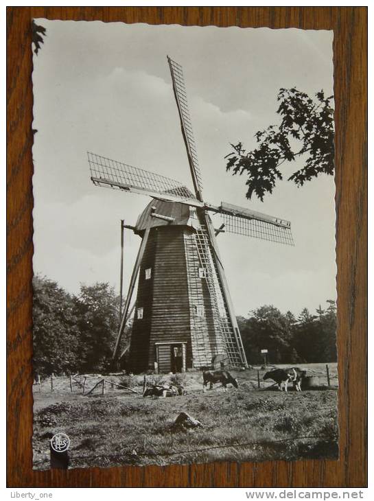 Domein Van Bokrijk " MOLEN "  / Anno 19?? ( Zie/voir Foto Voor Details ) !! - Genk