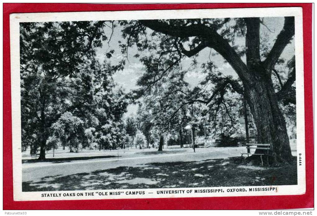 ETATS UNIS OXFORD UNIVERSITE DU MISSISSIPPI STATELY OAKS ON THE OLE MISS CAMPUS - Autres & Non Classés