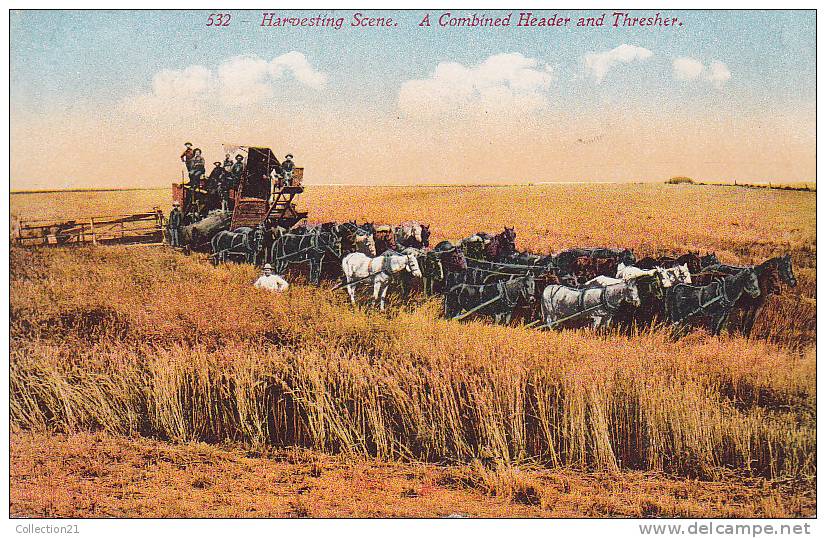 HARVESTING SCENE ... A COMBINED HEADER AND THRESHER ... ATTELAGE DE CHEVAUX - Equipos