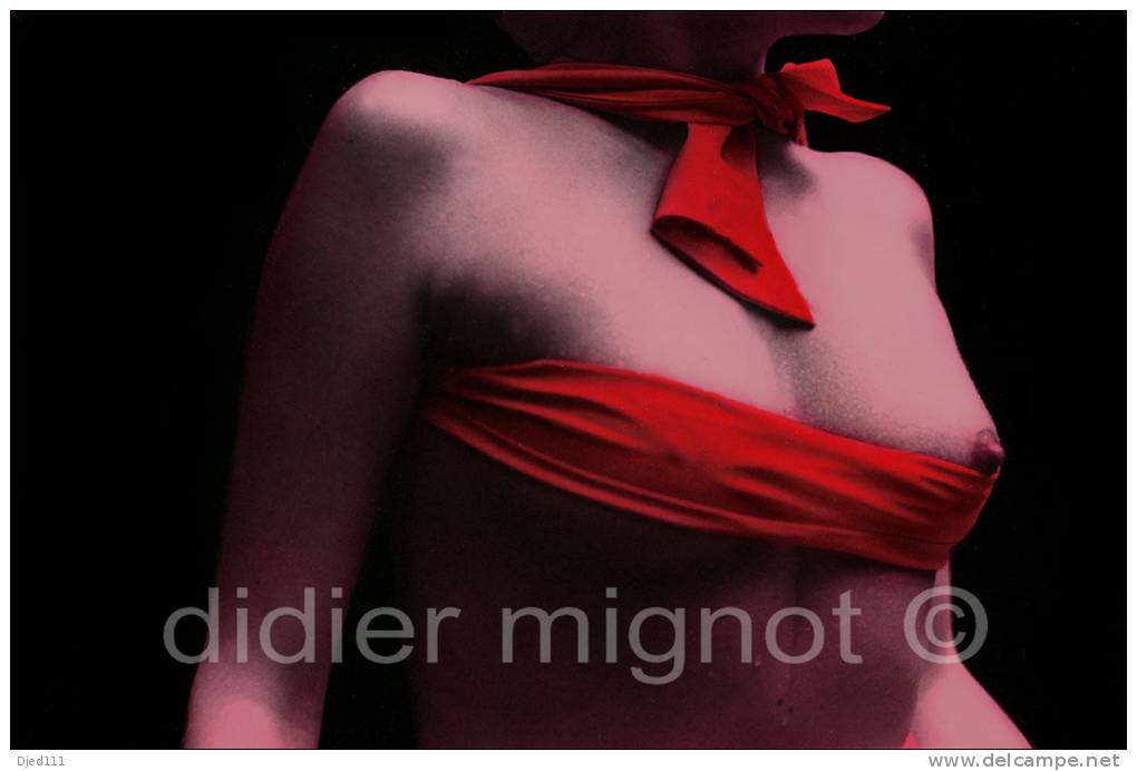 "foulard Rose"   Didier Mignot - Autres & Non Classés