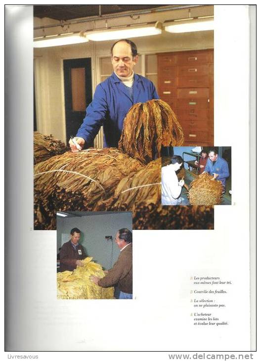 La Fabrication Du Tabac édité Par Le Club Amsterdamer En 1995 - Documents