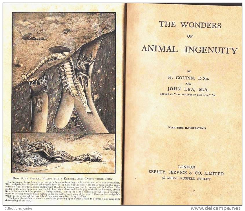 St Paul School Darjeeling India Memorabilia ANTIQUE BOOK "THE WONDERS OF ANIMAL INGENUITY" - Scienze