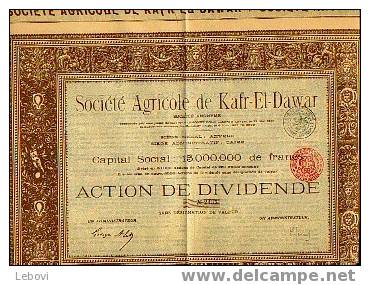 ANVERS/LE CAIRE "Soc. Agricole De Kafr-El-Dawar Sa" - Actiaon De Dividende - Agriculture