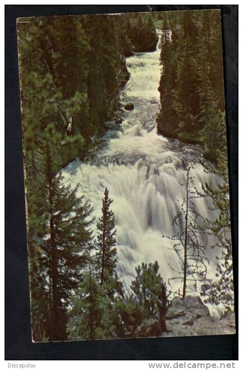 D2485 Kepler Cascade, Yellowstone National Park  ( Falls ) - Publ. By Mckee Printing Co. - Plastichrome - Yellowstone