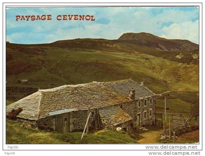 48.. Paysage Cevenol. Plateau Cévenol. En Arrière-plan Le Mont Mézenc. - Autres & Non Classés