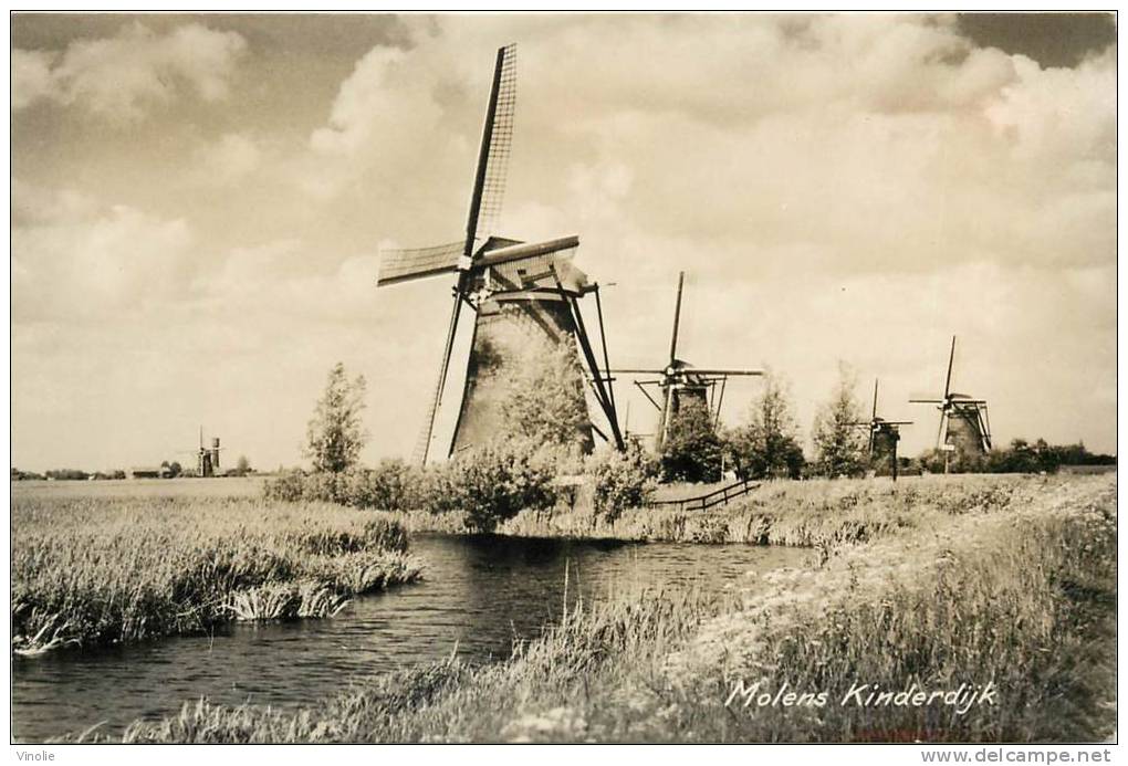Réf : A -13- 1572 : Molens Kinderdijk - Kinderdijk