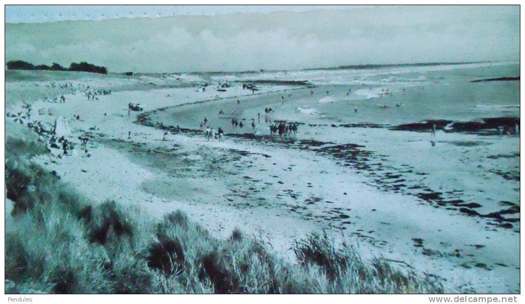 BRETIGNOLLES SUR MER    	LA PLAGE DU MARAIS GIRARD	672 M - Bretignolles Sur Mer