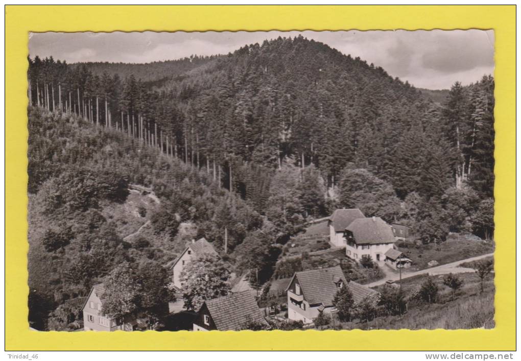 ALLEMAGNE KLOSTER UND KURSTADT ALPIRSBACH IM SCHWARZWALD - Alpirsbach