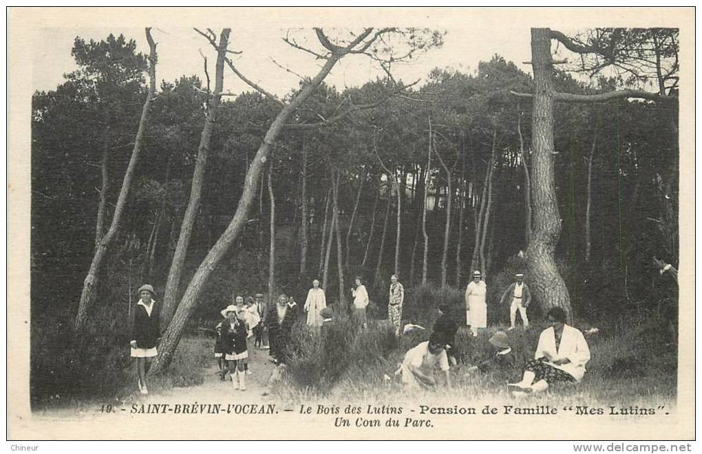 SAINT BREVIN L'OCEAN LE BOIS DES LUTINS PENSION DE FAMILLE UN COIN DU PARC - Saint-Brevin-l'Océan