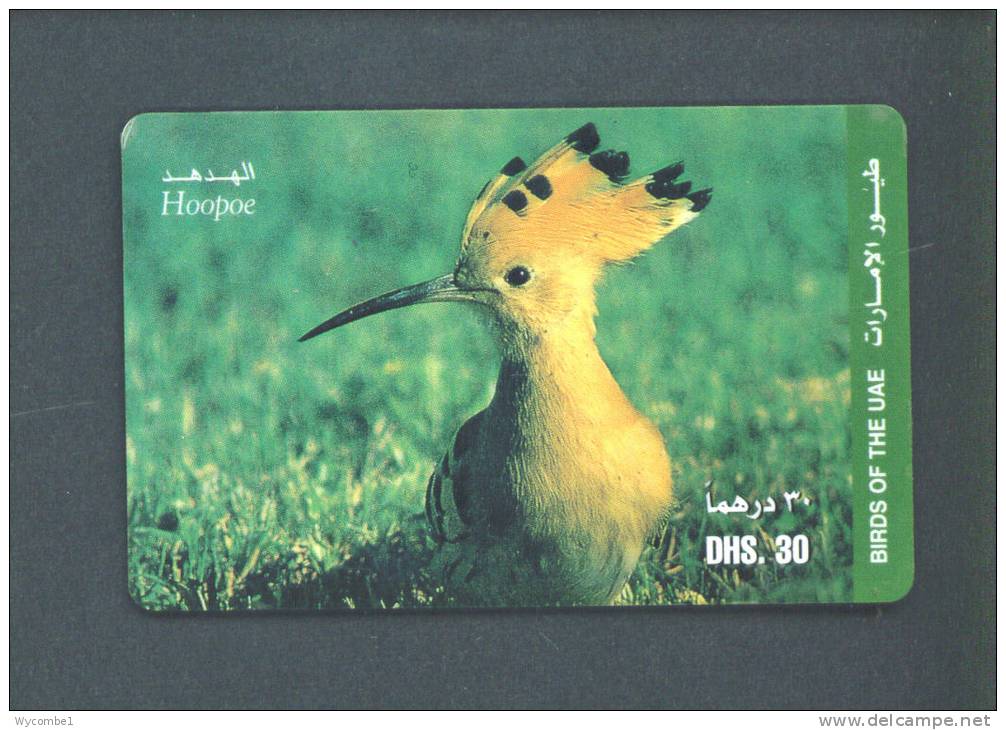 UNITED ARAB EMIRATES  -  Remote Phonecard As Scan - Ver. Arab. Emirate