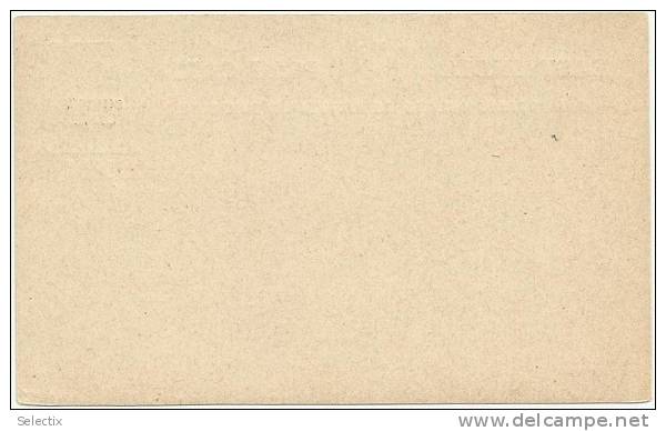 India 1882 Chamba State - Postal Stationery Card - 1882-1901 Empire