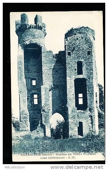 38 BRESSIEUX / Ruines Du Vieux Château / - Bressieux