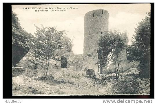 38 BRESSIEUX / Ruines Du Château, Les Oubliettes / - Bressieux