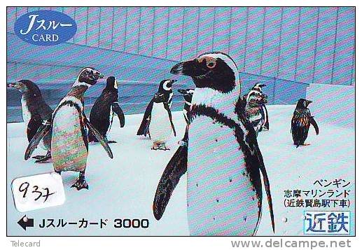 Télécarte  Japon * OISEAU MANCHOT  (937)  PENGUIN BIRD Japan * Phonecard * PINGUIN * - Pingouins & Manchots