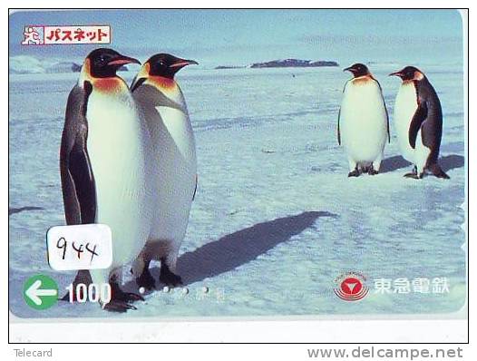 Carte Prépayée Japon * OISEAU MANCHOT  (944)  PENGUIN BIRD Japan * Prepaidcard * PINGUIN * - Pinguins