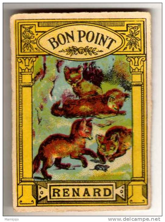 Image "BON POINT" : Renards - Collections