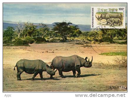 TOGO .les Rhinoceros. Carte Maximum 1974. Oblit.Premier Jour - Rhinocéros