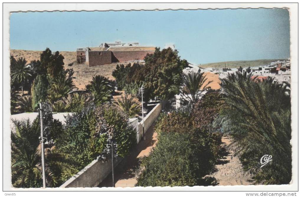 CPSM COLORISEE GHARDAIA, VUE VERS LE BORDJ, Format 9 Cm Sur 14 Cm Environ, ALGERIE - Ghardaïa