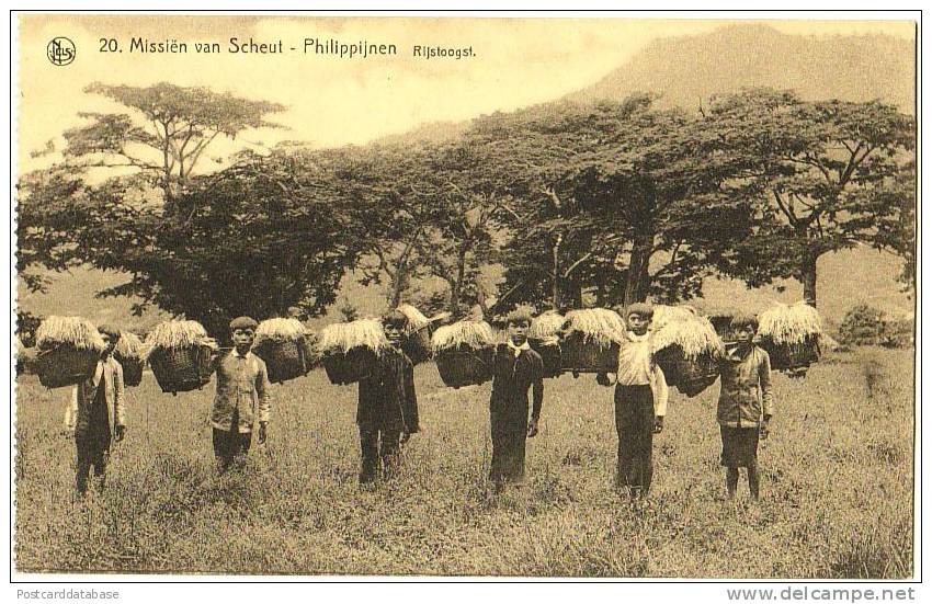 Missiën Van Scheut - Philippijnen - Rijstoogst - Filipinas