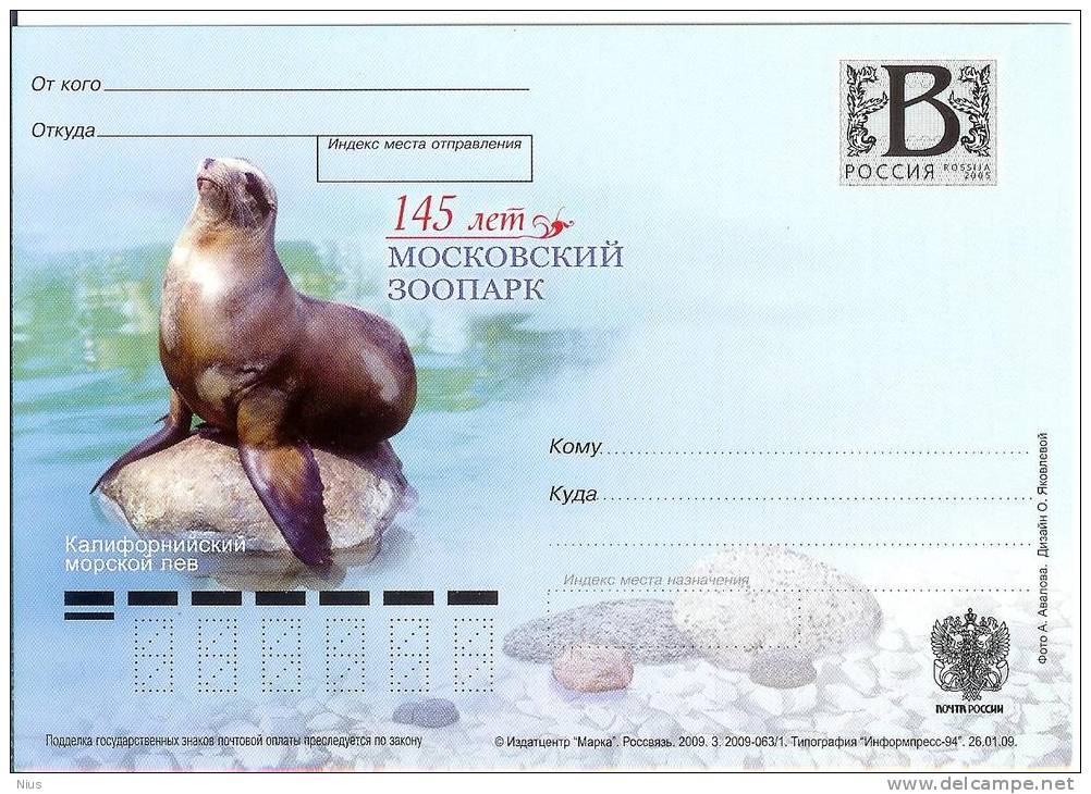 Russia 2009 Moscow Zoo Californian Sea Lion Fauna Marine Mamals - Enteros Postales