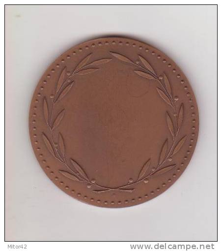 16-Francia-France-Medaglia Bronzo-médaille De Bronze: "Confederation Force Ouvriere"-diametro Mm.58- - Professionali / Di Società