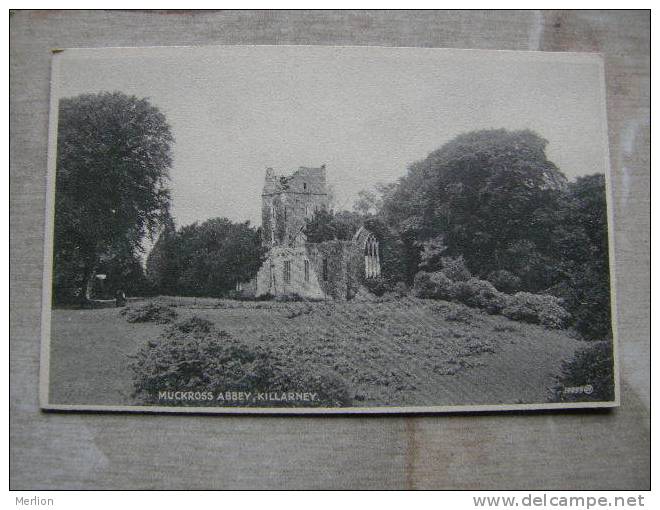 Ireland -   Muckross Abbey -   Killarney County Kerry Ireland    D93625 - Kerry