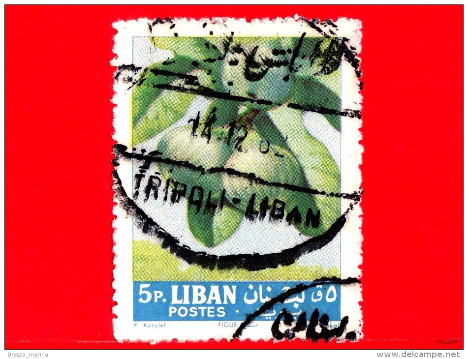 LIBANO - Usato - 1962 - Frutta - Fruit - Fichi - Ficus Carica - 5 - Libano