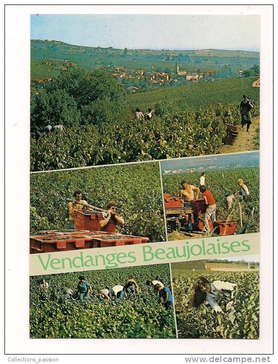 Cp , Agriculture , Vignes , Vendanges Beaujolaises , écrite , Ed : Combier , Création A. Perreaut - Vigne