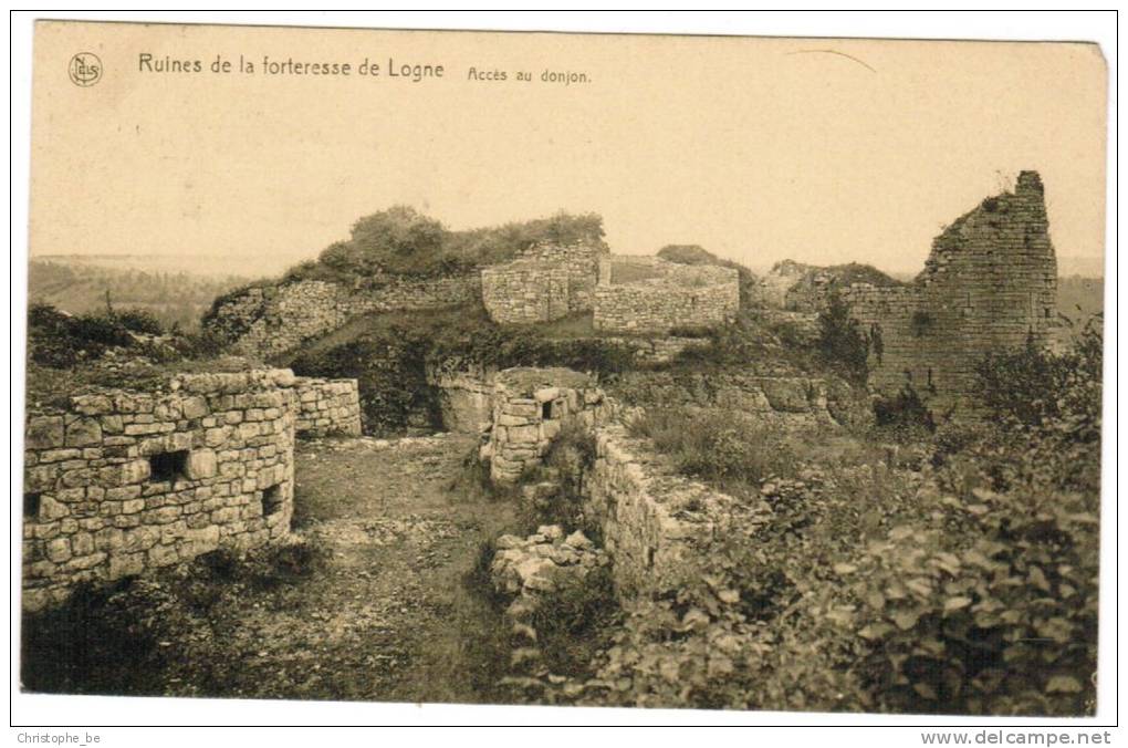 Ruines De La Forteresse De Logne, Accès Du Donjon (pk8449) - Ferrieres