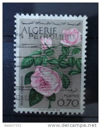 1969 Algeria Flowers,bloemen,fleurs,rose Used/gebruikt/oblitere - Algerije (1962-...)