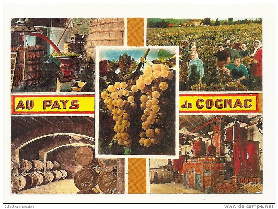 Cp, Vignes, Au Pays Du Cognac, Multi-Vues, Voyagée 1989 - Vignes